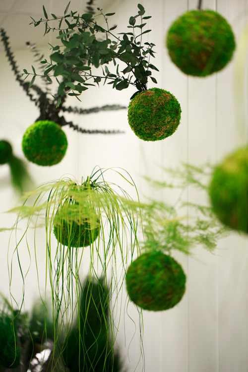 publicité d'art végétal